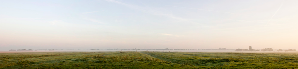 hoeksche weg pano.jpg